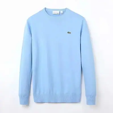 Lacoste Crew neck sweatshirt — hoodie, real photo