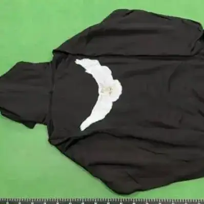 Yeezy GAP Hoodie — hoodie, real photo