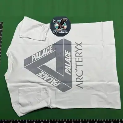 Palace Arc'teryx T-Shirt — T-shirt, real photo